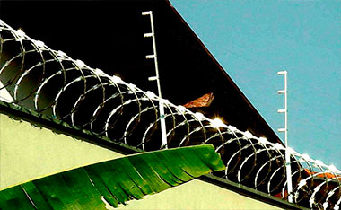 Concertina de Segurança